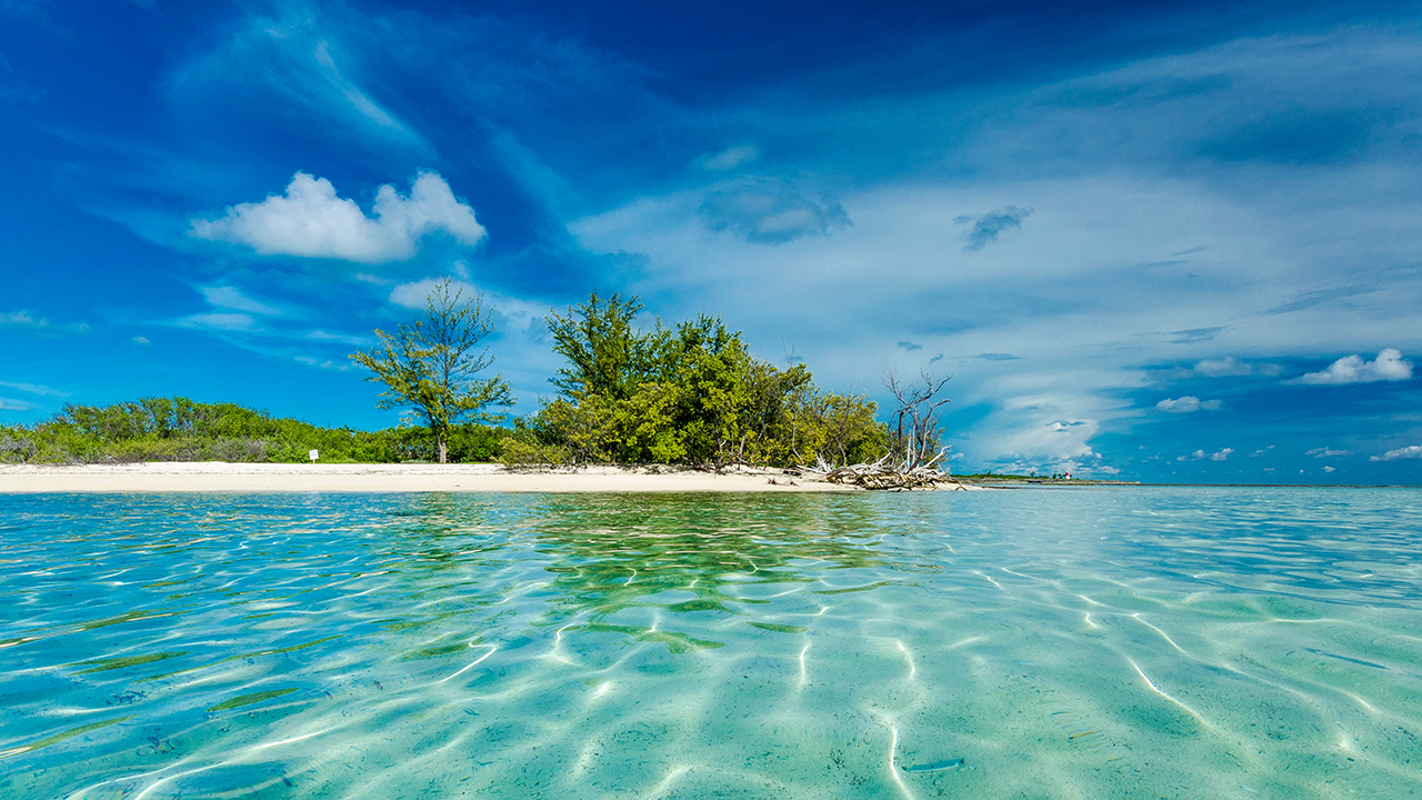 Gordon’s Beach, Long Island, The Bahamas